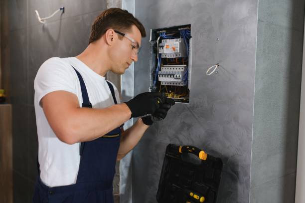 Best Electric Panel Repair  in Sharon, WI